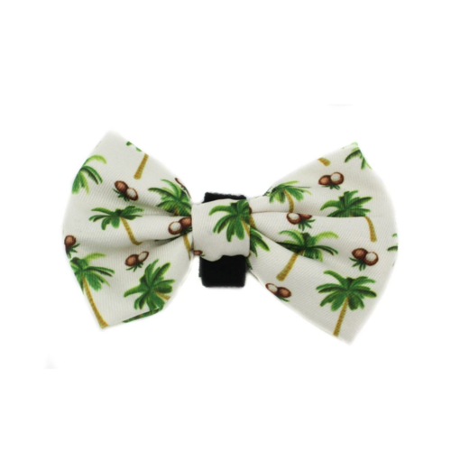 Coconut Island: Bow Tie