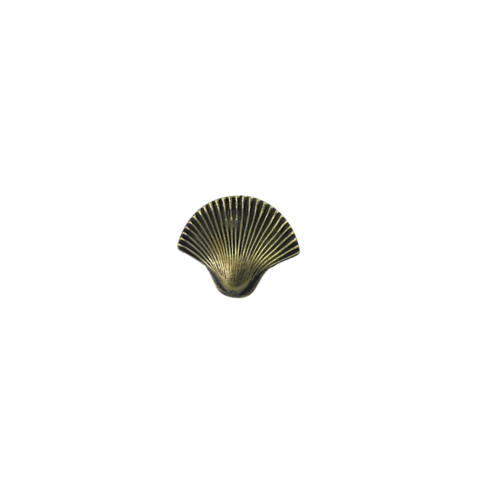Brass Sea Shell Drawer Pull Small
