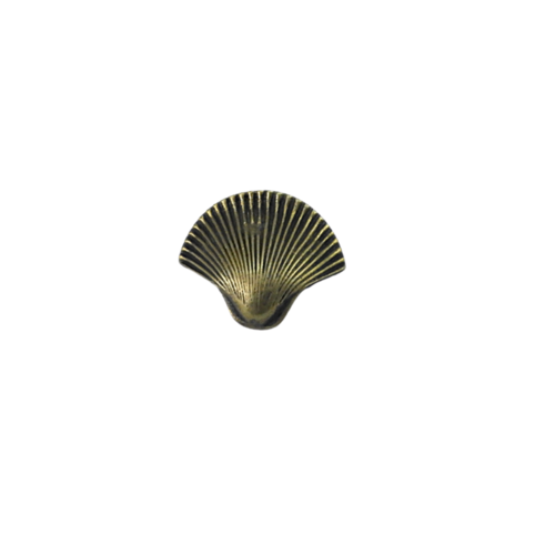 Brass Sea Shell Drawer Pull Medium