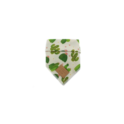 Cactus: Bandana