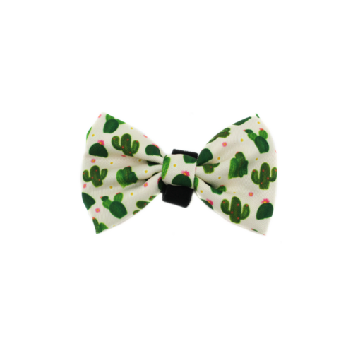 Cactus: Bow Tie